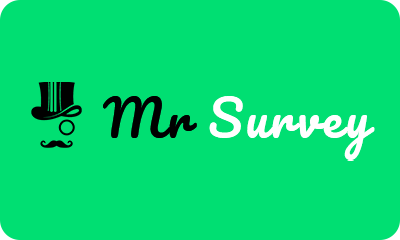 Mr-Survey-top10sondages.fr
